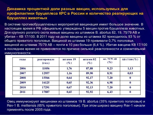 Инструкция