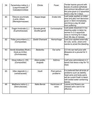59 Tamarindus indica (L.) 
(Leguminosae) Sf: 
Caesalpionoideae 
Chinta Fever Tender leaves ground with 
leaves of justicia adhatoda 
and ocimum tenuiflorum and 
the juice given in 2 spoonfuls 
twice a day for 3 days. 
60 Tiliacora acuminata 
(Lamk.) Miers 
(Menispermaceae) 
Kappa teega Snake bite Leaf paste applied on bitten 
area and also root decoction 
given in 50ml immediately 
and thrice a day till relief 
from suffering. 
61 Tragia involurata (L.) 
(Euphorbiaceae) 
Durada gondi, 
Durdha gondi 
Contraceptive Leaf paste dissolved in rice 
cleaning water is taken by 
women in 2-3 spoonfuls 
once in morning for 5 days 
from 5th day of menses. 
62 Tridax procumbens (L.) 
(Compositae) 
Gaddi Chamanti Hemorrhage Leaf juice applied externally 
for cuts, sores, ulcers and 
wands to arrest the bleeding. 
63 Vanda tessellata (Roxb.) 
Hook.ex.G.Don 
(Orchidaceae) 
Badanika Ear ache 2-3 into ear leaf juice with 
Brassica oil is poured for 3 
days. 
64 Vicoa indica (L.) DC. 
(Compositae) 
Adavi poddu 
tirugudu 
Asthma Leaf juice administered in 2 
spoon fuls twice a day for 15 
days. 
65 Vitex negundo (L.) 
(verbenaceae) 
Vavili Post partum 
problems 
It is believed that all kinds of 
problems such as debility, 
head ache and body pains 
will be cured if bath is taken 
with boiled water containing 
leaves. 
66 Waltheria indica (L.) 
(Sterculiaceae) 
Nalla Benda Harshness of 
voice 
Leaves and flowers are 
chewed adns said to be 
effective. 
 