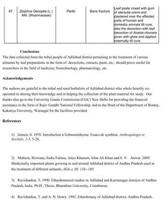 67 Ziziphus Oenoplia (L.) 
Mill. (Rhamnaceae) 
Pariki Bone fracture 
Leaf paste mixed with gum 
of sterculia urens and 
plastered over the effected 
parts of human and 
domestic animals till cure, 
also the decoction with leaf 
decoction of Acacia chunara 
given with ghee and applied 
externally till cure. 
Conclusions 
The data collected from the tribal people of Adilabad district pertaining to the treatment of various 
ailments by leaf preparations in the form of decoctions, extracts, paste, etc., should prove useful for 
researchers in the field of medicine, biotechnology, pharmacology, etc. 
Acknowledgements 
The authors are grateful to the tribal and rural herbalists of Adilabad district who whole heartily co-operated 
in sharing their knowledge and in helping the collection of the plant material for study. Our 
thanks also go to the University Grants Commission (UGC) New Delhi for providing the financial 
assistance in the form of Rajiv Gandhi National Fellowship, and to the Head of the Department of Botany, 
Kakatiya University, Warangal for the facilities provided. 
References 
1) Genest, S. 1978. Introduction à l'ethnomédecine. Essais de synthèse. Anthropologie et 
Sociétés, 2-3, 5-28. 
2) Mubeen, Rizwana, Sadia Fatima, Atiya Khanum, Irfan Ali Khan and S. Y. Anwar. 2005. 
Medicinally important plants growing in and around Adilabad district of Andhra Pradesh used in 
the treatment of different ailments. (Eds.), III, 118--180. 
3) Ravishankar, T. 1990. Ethnobotanical studies in Adilabad and Karimnagar districts of Andhra 
Pradesh, India. Ph.D., Thesis, Bharathiar University, Coimbatore. 
4) Ravishankar, T. and A. N. Henry. 1992. Ethnobotany of Adilabad district, Andhra Pradesh, 
 