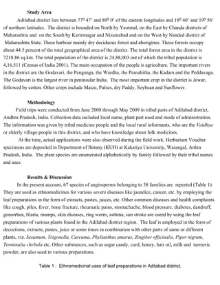 Study Area 
Adilabad district lies between 770 47’ and 800 0’ of the eastern longitudes and 180 40’ and 190 56’ 
of northern latitudes. The district is bounded on North by Yeotmal, on the East by Chanda districts of 
Maharashtra and on the South by Karimnagar and Nizamabad and on the West by Nanded district of 
Maharashtra State. These harbour mainly dry deciduous forest and aborigines. These forests occupy 
about 44.5 percent of the total geographical area of the district. The total forest area in the district is 
7218.86 sq.km. The total population of the district is 24,88,003 out of which the tribal population is 
4,16,511 (Census of India 2001). The main occupation of the people is agriculture. The important rivers 
in the district are the Godavari, the Penganga, the Wardha, the Pranahitha, the Kadam and the Peddavagu. 
The Godavari is the largest river in peninsular India. The most important crop in the district is Jowar, 
followed by cotton. Other crops include Maize, Pulses, dry Paddy, Soybean and Sunflower. 
Methodology 
Field trips were conducted from June 2008 through May 2009 in tribal parts of Adilabad district, 
Andhra Pradesh, India. Collection data included local name, plant part used and mode of administration. 
The information was given by tribal medicine people and the local rural informants, who are the Vaidhya 
or elderly village people in this district, and who have knowledge about folk medicines. 
At the time, actual applications were also observed during the field work. Herbarium Voucher 
specimens are deposited in Department of Botany (KUH) at Kakatiya University, Warangal, Anhra 
Pradesh, India. The plant species are enumerated alphabetically by family followed by their tribal names 
and uses. 
Results & Discussion 
In the present account, 67 species of angiosperms belonging to 38 families are reported (Table 1). 
They are used as ethnomedicines for various severe diseases like jaundice, cancer, etc. by employing the 
leaf preparations in the form of extracts, pastes, juices, etc. Other common diseases and health complaints 
like cough, piles, fever, bone fracture, rheumatic pains, stomachache, blood pressure, diabetes, dandruff, 
gonorrhea, filaria, mumps, skin diseases, ring worm, asthma, sun stroke are cured by using the leaf 
preparations of various plants found in the Adilabad district region. The leaf is employed in the form of 
decoctions, extracts, pastes, juice or some times in combination with other parts of same or different 
plants, viz. Sesamum, Trigonella, Curcuma, Phyllanthus amarus, Zingiber officinalis, Piper nigrum, 
Terminalia chebula etc. Other substances, such as sugar candy, curd, honey, hair oil, milk and turmeric 
powder, are also used in various preparations. 
Table 1 : Ethnomedicinal uses of leaf preparations in Adilabad district. 
 