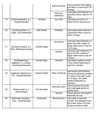 Memory power Leaves ground with jaggery 
and taken in morning for 30- 
45 days. 
Nervous 
weakness 
Leaf paste administered in 2 
spoonfuls twice a day for 40 
days. 
19 Cleome gynandra (L.) 
(Capparidaceae) 
Vaminta Ear ache Leaf juice poured in 2-3 
drops thrice a day till cure. 
20 Coccinia grandis (L.) 
Voigt. (Cucurbitaceae) 
Kaki donda Diabetes Leaf extract administered in 
2 spoonfuls twice a day for 
about 10 days. 
21 Cocculus hirsutus (L.) 
Diels. (Menispermaceae) 
Dushta teega 
Gonorrhea Leaf juice administered in 2 
spoon fuls with a glass of 
Sugar water twice a day for 
10-15 days. 
Syphilis Leaf juice administered in 2 
spoon ful with a glass of 
Sugar water twice a day for 
15 days. 
22 Cochlospermum 
religiosum (L.) Alston 
(Cochlospermaceae) 
Konda Gogu Dandruff Leaf paste applied to head, 
1-hour before bath twice a 
week for 3-weeks. 
23 Crataeva magna(Lour.) 
DC. (Capparidaceae) 
Vulimiri Chettu Piles and fistula 
Leaf extract administered 
during the bleeding condition 
in 2 spoon fuls twice a day 
for 15 days, the paste 
applied externally as 
ointment. 
24 Datura metal (L.) 
(Solanaceae) 
Erri Ummetta 
Muscular pains Leaves ground into pulte 
and massaged gently on 
painful parts. 
Sprains Leaves ground and applied 
externally till cure. 
25 Dodonaea viscosa(L.) 
Jacq. (Sapindaceae) 
Puuli-vairu Bone fracture Leaf paste mixed with 
turmeric and plastered over 
the broken parts of human 
beings as well as cattle. 
 