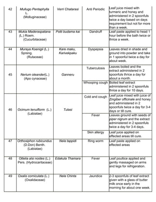 42 Mullugo Pentaphylla 
L. 
(Molluginaceae) 
Verri Chatarasi Anti Periodic Leaf juice mixed with 
turmeric and honey and 
administered in 2 spoonfuls 
twice a day based on days 
requirement but not for more 
than a week. 
43 Mukia Maderaspatana 
(L.) Roem. 
(Cucurbitaceae) 
Potti budama kai Dandruff Leaf paste applied to head 1 
hour before the bath twice or 
thrice a week. 
44 Muraya Koenigii (L.) 
Spreng. 
(Rutaceae) 
Kare maku, 
Karivekpaku 
Dyspepsia Leaves dried in shade and 
ground into powder and take 
in 1 spoonful twice a day for 
about week. 
45 Nerium oleander(L.) 
(Apo cynaceae) 
Ganneru 
Tuberculosis Leaves boiled and the 
extract administered in 2 
spoonfuls thrice a day for 
about a month. 
Whooping cough Boiled leaf extract 
administered in 2 spoonfuls 
thrice a day for 10 days. 
46 Ocimum tenuiflorm (L.) 
(Labiatae) 
Tulasi 
Cold and cough Leaf juice mixed with juice of 
Zingiber officinale and honey 
and administered in 2 
spoonfuls twice a day for 3-4 
days or till cure. 
Fever Leaves ground with seeds of 
piper nigrum and the extract 
administered in 2 spoonfuls 
twice a day for 3-4 days. 
Skin allergy Leaf juice applied on 
effected areas till cure. 
47 Orthosiphon rubicundus 
(D.Don) Benth. 
(Labiatae) 
Nela tappidi Ring worm Leaf paste applied on 
effected areas 
48 Ottelia alsi noides (L.) 
Pers. (Hydrocaritaceae) 
Edakula Thamara Fever Leaf poultice applied and 
gently massaged on arms 
and legs for refrigeration. 
49 Oxalis corniculata (L.) 
(Oxalidaceae) 
Nela Chinta Jaundice 2-3 spoonfuls of leaf extract 
given with a glass of butter 
milk once early in the 
morning for about one week. 
 