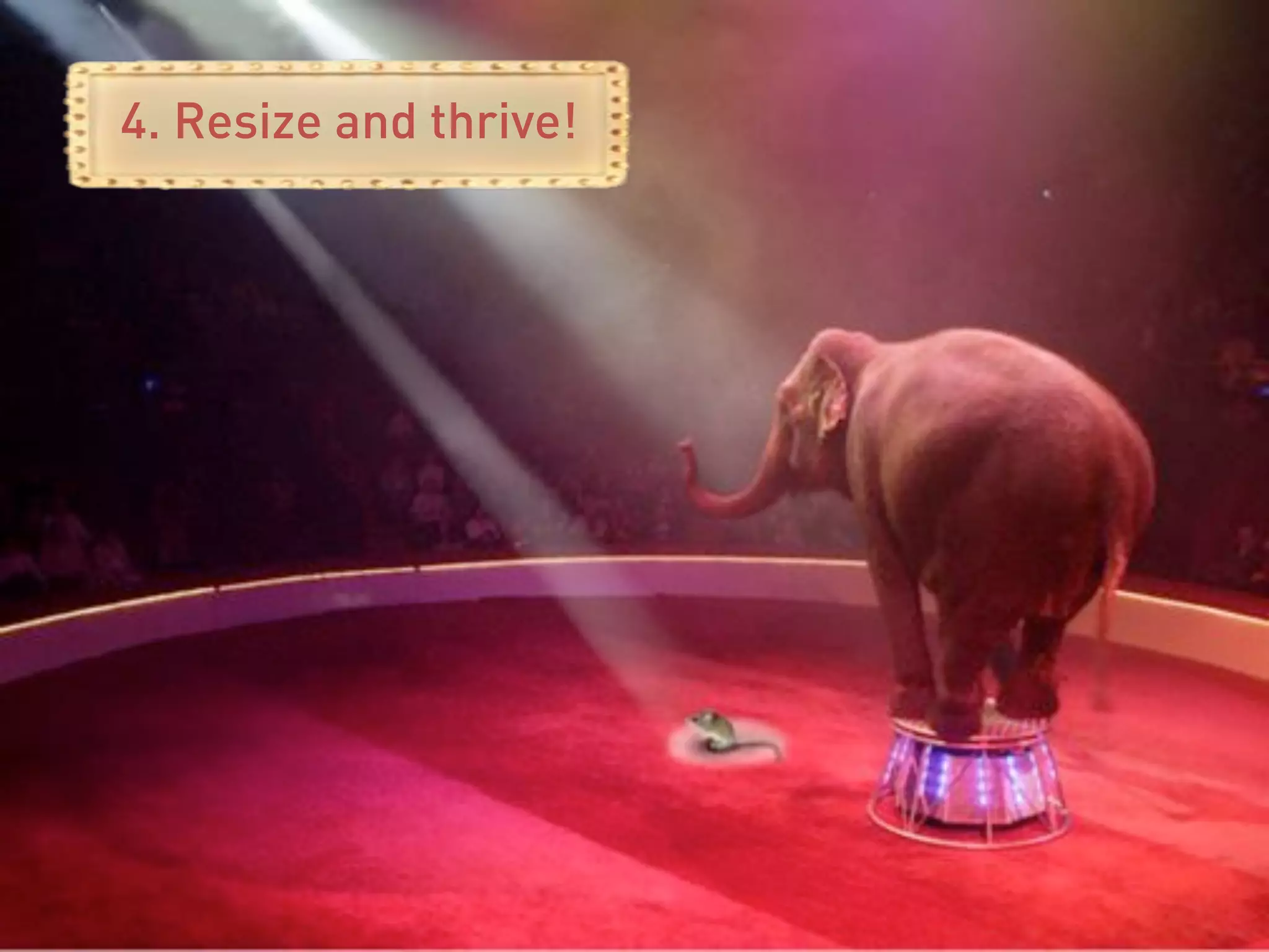 4. Resize and thrive!
 