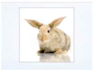 View Modes (DrupalCon Denver 2012)