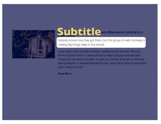 View Modes (DrupalCon Denver 2012)