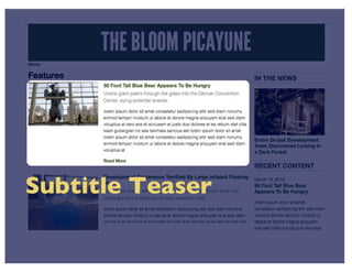 View Modes (DrupalCon Denver 2012)