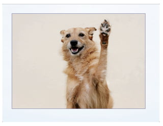 View Modes (DrupalCon Denver 2012)