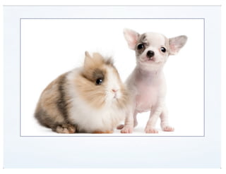 View Modes (DrupalCon Denver 2012)