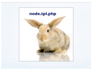 View Modes (DrupalCon Denver 2012)