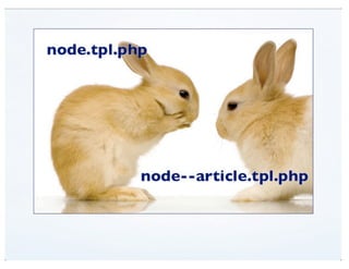 View Modes (DrupalCon Denver 2012)