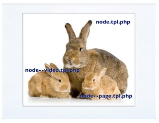 View Modes (DrupalCon Denver 2012)