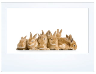 View Modes (DrupalCon Denver 2012)