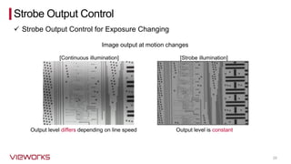 29
Strobe Output Control
✓ Strobe Output Control for Exposure Changing
Output level differs depending on line speed Output level is constant
Image output at motion changes
[Continuous illumination] [Strobe illumination]
 