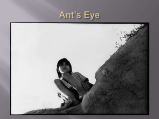 Viewpoint in photography