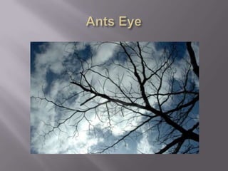 Viewpoint in photography