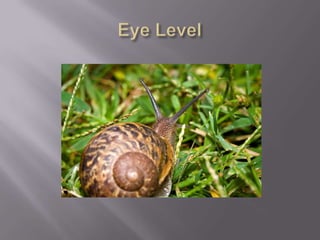 Viewpoint in photography