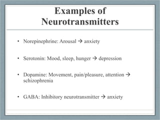 Examples of Neurotransmitters Norepinephrine: Arousal    anxiety  Serotonin: Mood, sleep, hunger    depression Dopamine: Movement, pain/pleasure, attention    schizophrenia GABA: Inhibitory neurotransmitter    anxiety  