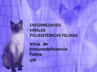 ENFERMEDADES
VIRALES
POLISISTÉMICAS FELINAS
Virus de
Inmunodeficiencia
Felina
VIF
 