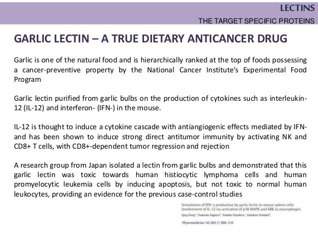 Ranked List Of Foods With Lectins Ranked List Of Foods With Lectins