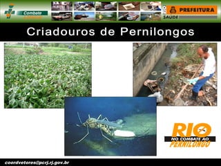 vigentomoccv@pcrj.rj.
gov.brcoordvetores@pcrj.rj.gov.br
 