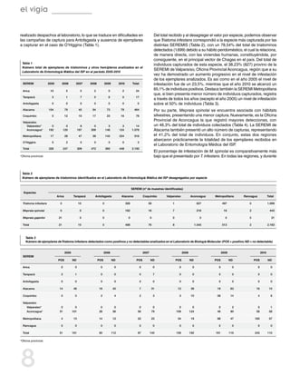 el vigía

realizado despachos al laboratorio, lo que se traduce en dificultades en                                                  Del total recibido y al desagregar el valor por especie, podemos observar
las campañas de captura para Antofagasta y ausencia de ejemplares                                                         que Triatoma infestans correspondió a la especie más capturada por las
a capturar en el caso de O’Higgins (Tabla 1).                                                                             distintas SEREMIS (Tabla 2), con un 78,54% del total de triatominos
                                                                                                                          detectados (1.699) debido a su hábito peridoméstico, el cual la relaciona,
                                                                                                                          de manera directa, con las viviendas humanas, constituyéndola, por
                                                                                                                          consiguiente, en el principal vector de Chagas en el país. Del total de
 Tabla 1
                                                                                                                          individuos capturados de esta especie, el 38,23% (827) provino de la
 Número total de ejemplares de triatominos y otros hemípteros analizados en el
                                                                                                                          SEREMI de Valparaíso, Oficina Provincial Aconcagua, región que a su
 Laboratorio de Entomología Médica del ISP en el período 2005-2010
                                                                                                                          vez ha demostrado un aumento progresivo en el nivel de infestación
                                                                                                                          de los ejemplares analizados. Es así como en el año 2005 el nivel de
  SEREMI               2005         2006       2007      2008            2009         2010         Total                  infestación fue de un 23,5%, mientras que el año 2010 se alcanzó un
  Arica                 10            5             5      2               0            2             24
                                                                                                                          65,1% de individuos positivos. Destaca también la SEREMI Metropolitana
                                                                                                                          que, si bien presenta menor número de individuos capturados, registra
  Tarapacá               3            1             7      0               6            0             17
                                                                                                                          a través de todos los años (excepto el año 2005) un nivel de infestación
  Antofagasta            0            0             0      0               0            0              0                  sobre el 50% de individuos (Tabla 3).
  Atacama              104            79           45     84              73           79            464                  Por su parte, Mepraia spinolai se encuentra asociada con hábitats
  Coquimbo               0            12           10     17              23           16             78                  silvestres, presentando una menor captura. Nuevamente, es la Oficina
  Valparaíso
                                                                                                                          Provincial de Aconcagua la que registró mayores detecciones, con
       Valparaíso*       0             0             8     0               3            3             14                  un 46,3% del total de individuos colectados (Tabla 4). La SEREMI de
       Aconcagua*      192           120           187   309             146          124          1.078                  Atacama también presentó un alto número de capturas, representando
  Metropolitana         17            28            47    58             142          224            516                  el 41,2% del total de individuos. En conjunto, estas dos regiones
                                                                                                                          abarcaron prácticamente la totalidad de los ejemplares recibidos en
  O’Higgins              0             2             0     0               0            0              2
                                                                                                                          el Laboratorio de Entomología Médica del ISP.
  Total                326           247           309   472             393          448          2.193
                                                                                                                          El porcentaje de infestación de M. spinolai es comparativamente más
*Oficina provincial.                                                                                                      bajo que el presentado por T. infestans. En todas las regiones, y durante



 Tabla 2
 Número de ejemplares de triatominos identificados en el Laboratorio de Entomología Médica del ISP desagregados por especie


                                                                                                   SEREMI (nº de muestras identificadas)                                                                       
   Especies
                              Arica          Tarapacá       Antofagasta                Atacama                 Coquimbo          Valparaíso           Aconcagua     Metropolitana      Rancagua              Total

  Triatoma infestans            0                  10                0                       306                  58                 1                       827          497             0                  1.699

  Mepraia spinolai              0                   0                0                       182                  18                 7                       218           16             2                    443

  Mepraia gajardoi             21                   0                0                         0                      0              0                         0            0             0                       21

  Total                        21                  10                0                       488                  76                 8                      1.045         513             2                  2.163



    Tabla 3
    Número de ejemplares de Triatoma infestans detectados como positivos y no detectables analizados en el Laboratorio de Biología Molecular (POS = positivo; ND = no detectable)


                                      2005                            2006                                     2007                            2008                       2009                        2010
  SEREMI
                              POS            ND                 POS             ND                    POS             ND                 POS          ND            POS          ND           POS            ND

  Arica                          0            0                  0               0                         0              0               0            0              0           0               0               0

  Tarapacá                       2            1                  0               0                         0              7               0            0              0           0               0               0

  Antofagasta                    0            0                  0               0                         0              0                0           0              0           0               0               0

  Atacama                      14            46                 16              40                         7          31                  12          39             19          63            16             15

  Coquimbo                       0            0                  2               4                         2              3                3           10            08           14              4               6

  Valparaíso
       Valparaíso*              0              0                 0               0                      0               0                  0            0             0            2            0              1
       Aconcagua*              31            101                28              56                     56              79                109          124            46           90           58             58

  Metropolitana                  4           13                 14              12                     22              23                 34           19            88           47          165             57

  Rancagua                       0            0                  0               0                         0              0                0            0             0            0              0               0

  Total                        51            161                60              112                    87             140                158          192           161          116          243            110

*Oficina provincial.




8
 