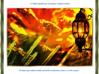 No dejes que, nada ni nadie, perturbe tu derecho a estar y a vivir en paz.
4. Vigila aquello que te produce vértigo o temor.