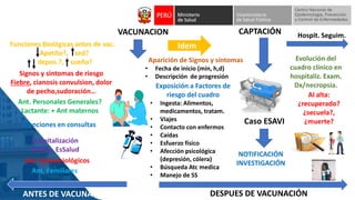 Ant. Personales Generales?
Lactante: + Ant maternos
Atenciones en consultas
Funciones Biológicas antes de vac.
Apetito?, sed?
depos.?, sueño?
Hospit. Seguim.
VACUNACION
Hospitalización
MINSA, EsSalud
Ant, Familiares
Signos y sintomas de riesgo
Fiebre, cianosis convulsion, dolor
de pecho,sudoración…
CAPTACIÓN
Aparición de Signos y síntomas
• Fecha de inicio (min, h,d)
• Descripción de progresión
Exposición a Factores de
riesgo del cuadro
• Ingesta: Alimentos,
medicamentos, tratam.
• Viajes
• Contacto con enfermos
• Caídas
• Esfuerzo físico
• Afección psicológica
(depresión, cólera)
• Búsqueda Atc medica
• Manejo de SS
Idem
Evolución del
cuadro clínico en
hospitaliz. Exam.
Dx/necropsia.
Al alta:
¿recuperado?
¿secuela?,
¿muerte?
NOTIFICACIÓN
INVESTIGACIÓN
Ant, Epidemiológicos
ANTES DE VACUNACIÓN DESPUES DE VACUNACIÓN
Caso ESAVI
 