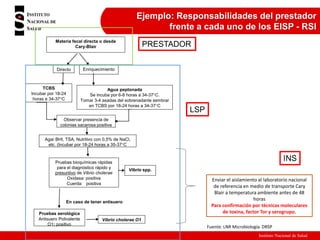 Instituto Nacional de Salud
Ejemplo: Responsabilidades del prestador
frente a cada uno de los EISP - RSI
Pruebas bioquímicas rápidas
para el diagnóstico rápido y
presuntivo de Vibrio cholerae
Oxidasa: positiva
Cuerda: positiva
Pruebas serológica
Antisuero Polivalente
O1: positivo
Materia fecal directa o desde
Cary-Blair
Directo Enriquecimiento
Observar presencia de
colonias sacarosa positiva
TCBS
Incubar por 18-24
horas a 34-37°C
Agua peptonada
Se incuba por 6-8 horas a 34-37°C.
Tomar 3-4 asadas del sobrenadante sembrar
en TCBS por 18-24 horas a 34-37°C
Enviar el aislamiento al laboratorio nacional
de referencia en medio de transporte Cary
Blair a temperatura ambiente antes de 48
horas
Para confirmación por técnicas moleculares
de toxina, factor Tor y serogrupo.
Agar BHI, TSA, Nutritivo con 0,5% de NaCl,
etc. (Incubar por 18-24 horas a 35-37°C
Vibrio spp.
Vibrio cholerae O1
En caso de tener antisuero
LSP
Fuente: LNR Microbiología. DRSP
PRESTADOR
 