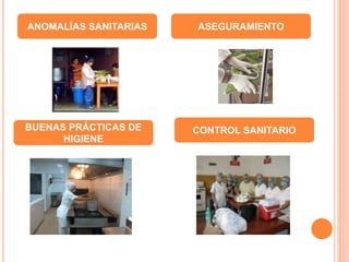 ANOMALÍAS SANITARIAS ASEGURAMIENTO
CONTROL SANITARIOBUENAS PRÁCTICAS DE
HIGIENE
 