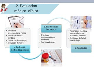 2. Evaluación
médico- clínica
• Evaluación
preocupacional /inicio
• Evaluación médica
periódica
• Evaluación de reintegro
• Evaluación de retiro
a. Evaluación
médicaocupacional
• Criterio de
determinaciónde
exámenes
• Tipo deexámenes
b. Exámenesde
laboratorio
• Prescripción médica y
recomendaciones
laborales y de salud
• Certificado de Salud
en el Trabajo
c. Resultados
 