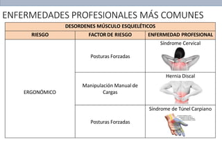 ENFERMEDADES PROFESIONALES MÁS COMUNES
DESORDENES MÚSCULO ESQUELÉTICOS
RIESGO FACTOR DE RIESGO ENFERMEDAD PROFESIONAL
ERGONÓMICO
Posturas Forzadas
Síndrome Cervical
Manipulación Manual de
Cargas
Hernia Discal
Posturas Forzadas
Síndrome de Túnel Carpiano
 