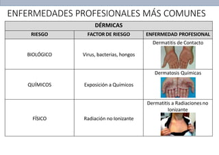 DÉRMICAS
RIESGO FACTOR DE RIESGO ENFERMEDAD PROFESIONAL
BIOLÓGICO Virus, bacterias, hongos
Dermatitis de Contacto
QUÍMICOS Exposición a Químicos
Dermatosis Químicas
FÍSICO Radiación no Ionizante
Dermatitis a Radiaciones no
Ionizante
ENFERMEDADES PROFESIONALES MÁS COMUNES
 