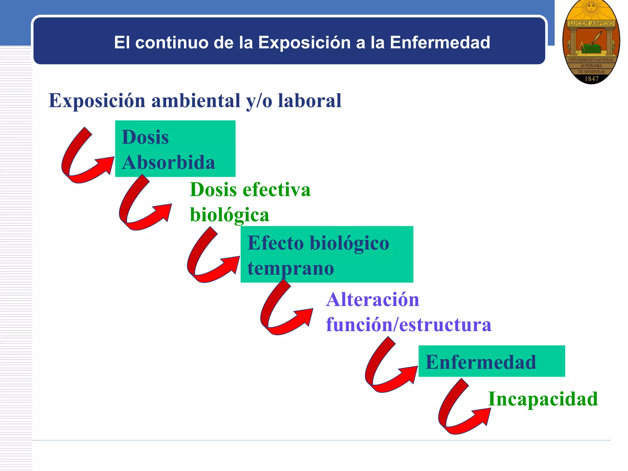 LOGO
El continuo de la Exposición a la Enfermedad
Exposición ambiental y/o laboral
Dosis
Absorbida
Dosis efectiva
biológica
Efecto biológico
temprano
Alteración
función/estructura
Enfermedad
Incapacidad
 
