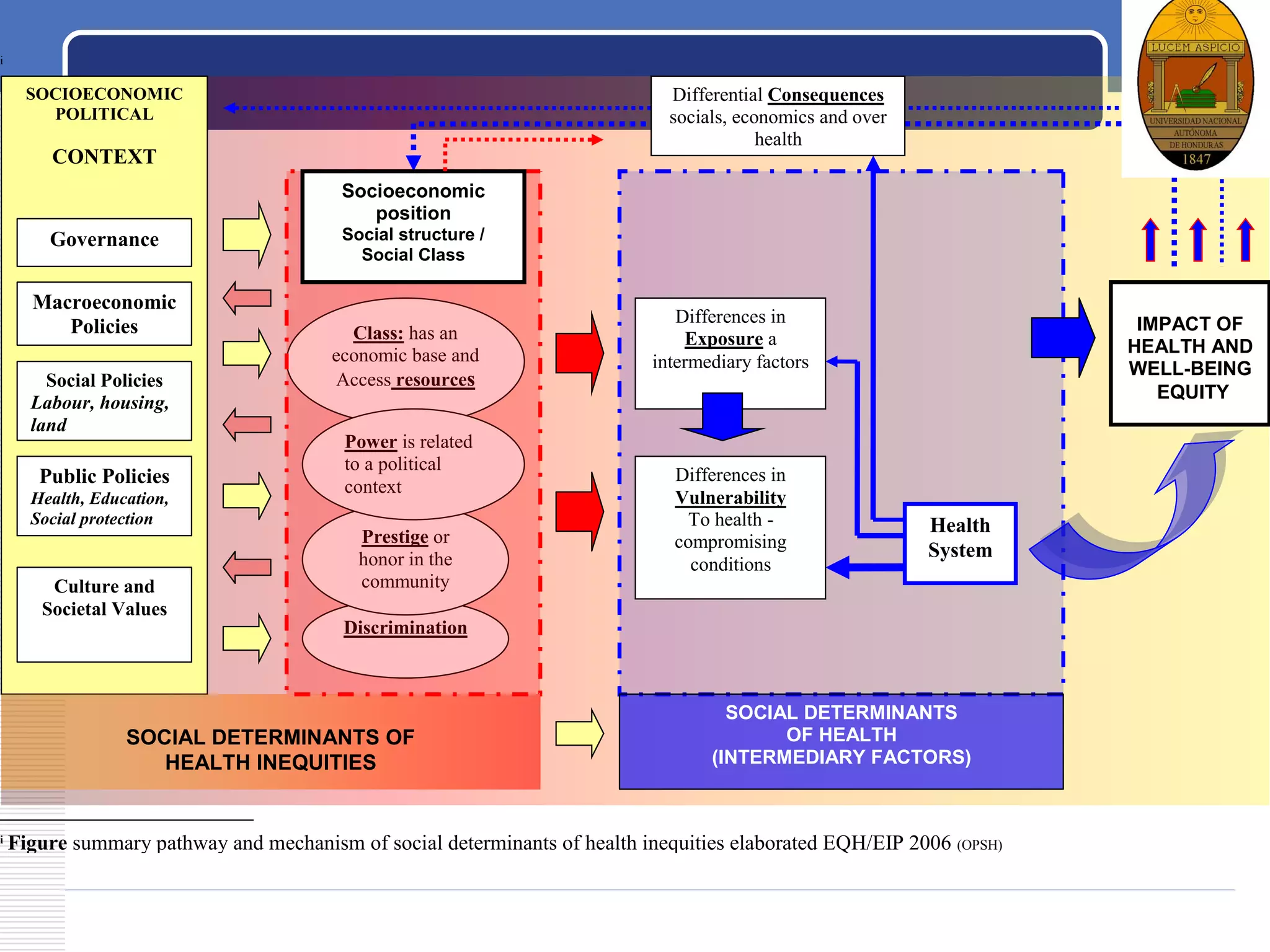 LOGOi
i
Figure summary pathway and mechanism of social determinants of health inequities elaborated EQH/EIP 2006 (OPSH)
SOCIOECONOMIC
POLITICAL
CONTEXT
SOCIAL DETERMINANTS
OF HEALTH
(INTERMEDIARY FACTORS)
IMPACT OF
HEALTH AND
WELL-BEING
EQUITY
Governance
Macroeconomic
Policies
Social Policies
Labour, housing,
land
Culture and
Societal Values
SOCIAL DETERMINANTS OF
HEALTH INEQUITIES
Discrimination
Prestige or
honor in the
community
Class: has an
economic base and
Access resources
Power is related
to a political
context
Differential Consequences
socials, economics and over
health
Socioeconomic
position
Social structure /
Social Class
Differences in
Vulnerability
To health -
compromising
conditions
Differences in
Exposure a
intermediary factors
Health
System
Public Policies
Health, Education,
Social protection
 