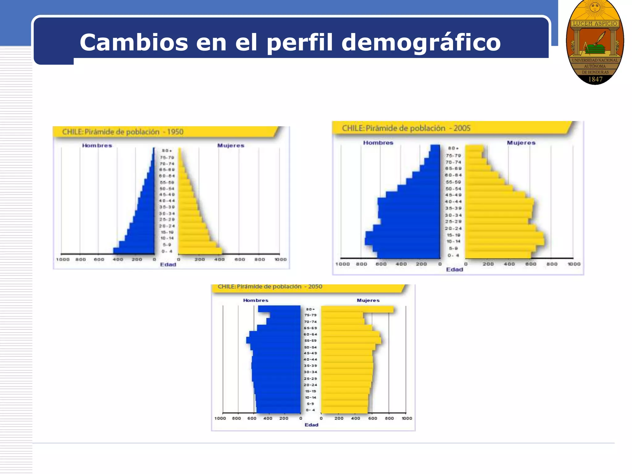 LOGO
Cambios en el perfil demográfico
 