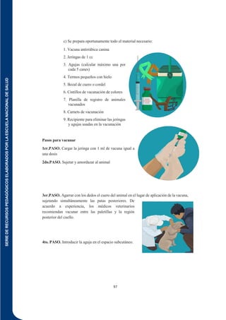 SERIE
DE
RECURSOS
PEDAGÓGICOS
ELABORADOS
POR
LA
ESCUELA
NACIONAL
DE
SALUD
97
c) Se prepara oportunamente todo el material necesario:
1. Vacuna antirrábica canina
2. Jeringas de 1 cc
3. Agujas (calcular máximo una por
cada 5 canes)
4. Termos pequeños con hielo
5. Bozal de cuero o cordel
6. Cintillos de vacunación de colores
7. Planilla de registro de animales
vacunados
8. Carnets de vacunación
9. Recipiente para eliminar las jeringas
y agujas usadas en la vacunación
Pasos para vacunar
1er.PASO. Cargar la jeringa con 1 ml de vacuna igual a
una dosis
2do.PASO. Sujetar y amordazar al animal
3er.PASO. Agarrar con los dedos el cuero del animal en el lugar de aplicación de la vacuna,
sujetando simultáneamente las patas posteriores. De
acuerdo a experiencia, los médicos veterinarios
recomiendan vacunar entre las paletillas y la región
posterior del cuello.
4to. PASO. Introducir la aguja en el espacio subcutáneo.
 