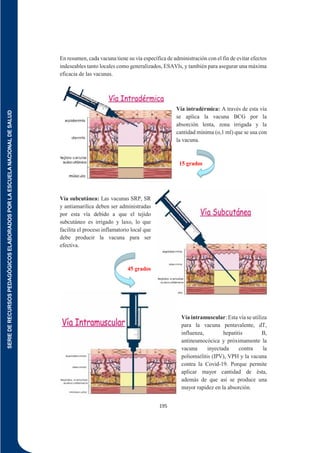 SERIE
DE
RECURSOS
PEDAGÓGICOS
ELABORADOS
POR
LA
ESCUELA
NACIONAL
DE
SALUD
195
En resumen, cada vacuna tiene su vía específica de administración con el fin de evitar efectos
indeseables tanto locales como generalizados, ESAVls, y también para asegurar una máxima
eficacia de las vacunas.
Vía intradérmica: A través de esta vía
se aplica la vacuna BCG por la
absorción lenta, zona irrigada y la
cantidad mínima (o,1 ml) que se usa con
la vacuna.
15 grados
Vía subcutánea: Las vacunas SRP, SR
y antiamarilica deben ser administradas
por esta vía debido a que el tejido
subcutáneo es irrigado y laxo, lo que
facilita el proceso inflamatorio local que
debe producir la vacuna para ser
efectiva.
45 grados
Vía intramuscular:Esta vía se utiliza
para la vacuna pentavalente, dT,
influenza, hepatitis B,
antineumocócica y próximamente la
vacuna inyectada contra la
poliomielitis (IPV), VPH y la vacuna
contra la Covid-19. Porque permite
aplicar mayor cantidad de ésta,
además de que así se produce una
mayor rapidez en la absorción.
 