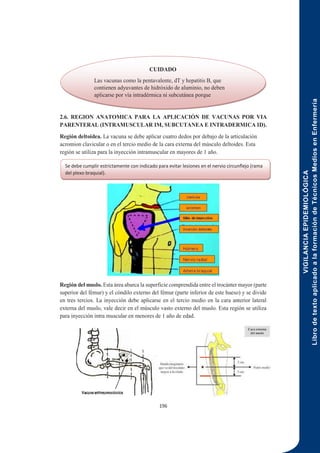 VIGILANCIA
EPIDEMIOLÓGICA
Libro
de
texto
aplicado
a
la
formación
de
Técnicos
Medios
en
Enfermería
196
2.6. REGION ANATOMICA PARA LA APLICACIÓN DE VACUNAS POR VIA
PARENTERAL (INTRAMUSCULAR IM, SUBCUTANEA E INTRADERMICA ID).
Región deltoidea. La vacuna se debe aplicar cuatro dedos por debajo de la articulación
acromion clavicular o en el tercio medio de la cara externa del músculo deltoides. Esta
región se utiliza para la inyección intramuscular en mayores de 1 año.
Región del muslo. Esta área abarca la superficie comprendida entre el trocánter mayor (parte
superior del fémur) y el cóndilo externo del fémur (parte inferior de este hueso) y se divide
en tres tercios. La inyección debe aplicarse en el tercio medio en la cara anterior lateral
externa del muslo, vale decir en el músculo vasto externo del muslo. Esta región se utiliza
para inyección intra muscular en menores de 1 año de edad.
CUIDADO
Las vacunas como la pentavalente, dT y hepatitis B, que
contienen adyuvantes de hidróxido de aluminio, no deben
aplicarse por vía intradérmica ni subcutánea porque
producen granulomas y necrosis.
Se debe cumplir estrictamente con indicado para evitar lesiones en el nervio circunflejo (rama
del plexo braquial).
 