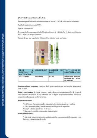 SERIE
DE
RECURSOS
PEDAGÓGICOS
ELABORADOS
POR
LA
ESCUELA
NACIONAL
DE
SALUD
215
2.9.8. VACUNA ANTIAMARÍLICA
Es una suspensión de virus vivos atenuados de la cepa 17D-204, cultivada en embriones.
Su efectividad es superior al 90%.
Tipo de vacuna Viral.
Presentación Es una suspensión liofilizada en frascos de vidrio de 5 o 10 dosis con diluyente
de 2.5 ml y 5 ml, respectivamente
Tiempo de uso una vez abierto el frasco: Uso máximo hasta seis horas.
EDAD Y
ESQUEMA DE
VACUNACION
NRO. DE DOSIS CANTIDAD DE
DOSIS
VIA Y LUGAR DE
ADMINISTRACION
12 a 23 meses Dosis única 0.5 ml Subcutáneo músculo
deltoides del brazo
DERECHO
Consideraciones generales: Una sola dosis genera anticuerpos; no necesita revacunarse
cada 10 años.
Casos excepcionales: Se puede vacunar a los 6 o 9 meses en casos especiales de riesgo al
virus en zonas endémicas. Si está infectado con VIH pero no presenta síntomas activos de
esta enfermedad, puede recibir la vacuna.
Eventos esperados:
* 0-42% muy frecuentes pueden presentar fiebre, dolor de cabeza y mialgia.
* 2-5% frecuente dolor y enrojecimiento en el lugar de la inyección.
* Raro 4-5/millón Encefalitis en 60 años.
* Muy raro 1-3/millón enfermedad viscerotrópica.
Contraindicaciones:
* Alergia al principio activo o a cualquiera de los componentes de la vacuna o a los
huevos o a las proteínas de pollo.
 
