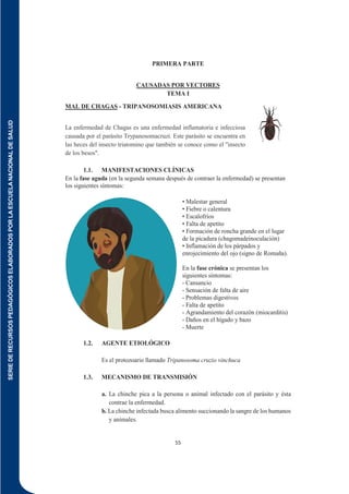 SERIE
DE
RECURSOS
PEDAGÓGICOS
ELABORADOS
POR
LA
ESCUELA
NACIONAL
DE
SALUD
55
PRIMERA PARTE
CAUSADAS POR VECTORES
TEMA I
MAL DE CHAGAS - TRIPANOSOMIASIS AMERICANA
La enfermedad de Chagas es una enfermedad inflamatoria e infecciosa
causada por el parásito Trypanosomacruzi. Este parásito se encuentra en
las heces del insecto triatomino que también se conoce como el "insecto
de los besos".
1.1. MANIFESTACIONES CLÍNICAS
En la fase aguda (en la segunda semana después de contraer la enfermedad) se presentan
los siguientes síntomas:
• Malestar general
• Fiebre o calentura
• Escalofríos
• Falta de apetito
• Formación de roncha grande en el lugar
de la picadura (chagomadeinoculación)
• Inflamación de los párpados y
enrojecimiento del ojo (signo de Romaña).
En la fase crónica se presentan los
siguientes síntomas:
- Cansancio
- Sensación de falta de aire
- Problemas digestivos
- Falta de apetito
- Agrandamiento del corazón (miocarditis)
- Daños en el hígado y bazo
- Muerte
1.2. AGENTE ETIOLÓGICO
Es el protozoario llamado Tripanosoma cruzio vinchuca
1.3. MECANISMO DE TRANSMISIÓN
a. La chinche pica a la persona o animal infectado con el parásito y ésta
contrae la enfermedad.
b. La chinche infectada busca alimento succionando la sangre de los humanos
y animales.
 