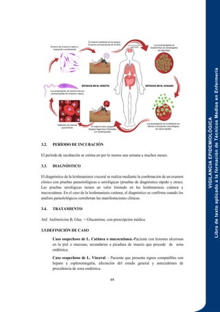VIGILANCIA
EPIDEMIOLÓGICA
Libro
de
texto
aplicado
a
la
formación
de
Técnicos
Medios
en
Enfermería
64
3.2. PERÍODO DE INCUBACIÓN
El período de incubación se estima en por lo menos una semana a muchos meses.
3.3. DIAGNÓSTICO
El diagnóstico de la leishmaniasis visceral se realiza mediante la combinación de un examen
clínico con pruebas parasitológicas o serológicas (pruebas de diagnóstico rápido y otras).
Las pruebas serológicas tienen un valor limitado en las leishmaniasis cutánea y
mucocutánea. En el caso de la leishmaniasis cutánea, el diagnóstico se confirma cuando los
análisis parasitológicos corroboran las manifestaciones clínicas.
3.4. TRATAMIENTO
Anf. Anfotericina B, Gluc. = Glucantime, con prescripción médica.
3.5.DEFINICIÓN DE CASO
Caso sospechoso de L. Cutánea o mucocutánea.-Paciente con lesiones ulcerosas
en la piel o mucosas, secundarias a picadura de insecto que procede de zona
endémica.
Caso sospechoso de L. Visceral. - Paciente que presenta signos compatibles con
hepato y esplenomegalia, afectación del estado general y antecedentes de
procedencia de zona endémica.
 