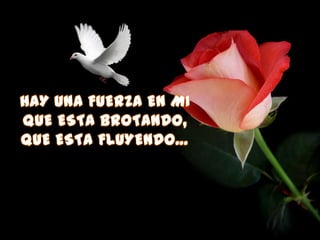 Vigilia de pentecostés