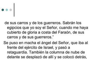 de sus carros y de los guerreros. Sabrán los
egipcios que yo soy el Señor, cuando me haya
cubierto de gloria a costa del Faraón, de sus
carros y de sus guerreros.”
Se puso en macha el ángel del Señor, que iba al
frente del ejército de Israel, y pasó a
retaguardia. También la columna de nube de
delante se desplazó de allí y se colocó detrás,
 