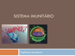 SISTEMA IMUNITÁRIO




  Vigilância Imunitária
 