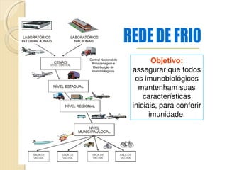 Central Nacional de Armazenagem e Distribuição de Imunobiológicos  