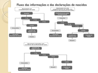 Fluxo das informações e das declarações de nascidos vivos 