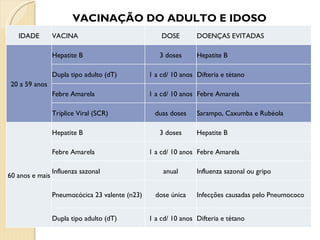 VACINAÇÃO DO ADULTO E IDOSO IDADE VACINA DOSE DOENÇAS EVITADAS 20 a 59 anos Hepatite B 3 doses Hepatite B Dupla tipo adulto (dT) 1 a cd/ 10 anos Difteria e tétano Febre Amarela 1 a cd/ 10 anos Febre Amarela Tríplice Viral (SCR) duas doses Sarampo, Caxumba e Rubéola 60 anos e mais Hepatite B 3 doses Hepatite B Febre Amarela 1 a cd/ 10 anos Febre Amarela Influenza sazonal anual Influenza sazonal ou gripo Pneumocócica 23 valente (n23) dose única Infecções causadas pelo Pneumococo Dupla tipo adulto (dT) 1 a cd/ 10 anos Difteria e tétano 