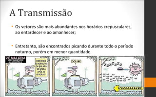 A Transmissão
• Os vetores são mais abundantes nos horários crepusculares,
ao entardecer e ao amanhecer;
• Entretanto, são encontrados picando durante todo o período
noturno, porém em menor quantidade.
 