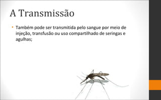A Transmissão
• Também pode ser transmitida pelo sangue por meio de
injeção, transfusão ou uso compartilhado de seringas e
agulhas;
 