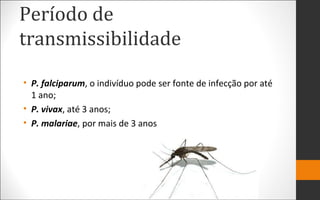 Período de
transmissibilidade
• P. falciparum, o indivíduo pode ser fonte de infecção por até
1 ano;
• P. vivax, até 3 anos;
• P. malariae, por mais de 3 anos
 
